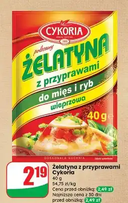 Dino Żelatyna wieprzowa z przyprawami do mięs i ryb Cykoria oferta