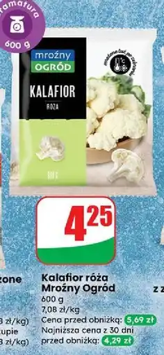 Dino Kalafior Mroźny Ogród oferta
