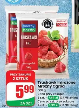 Dino Truskawki Mroźny Ogród oferta