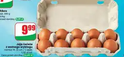 Dino Jaja z wolnego wybiegu kl. m oferta