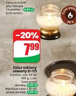 Dino Znicz otwarty d-171 oferta