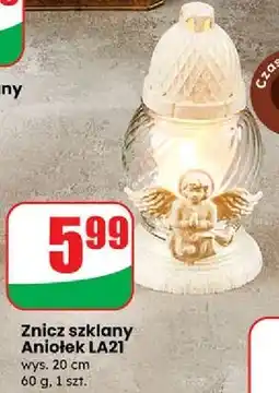 Dino Znicz aniołek oferta