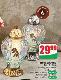 Dino Znicz ok-9 róża oferta