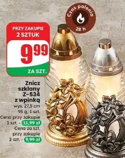 Dino Znicz z-534 oferta