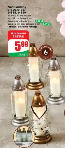 Dino Znicz s-899 oferta