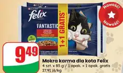Dino Karma dla kota wołowina i kurczak Purina Felix Fantastic oferta