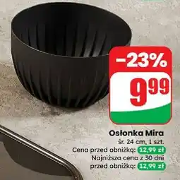 Dino Osłonka na kwiaty mira oferta