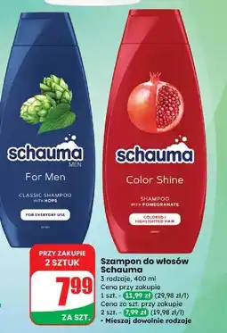 Dino Szampon do włosów Schauma Color Shine oferta