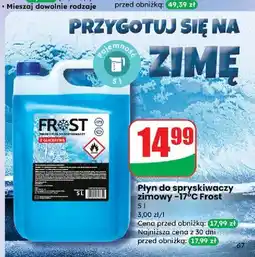 Dino Płyn do spryskiwaczy zimowy Frost-Schutz oferta