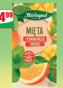Dino Herbata ziołowa miętowa z pomarańczą i mango Herbapol oferta