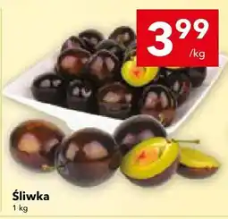 Lewiatan Śliwka LEWIATAN oferta