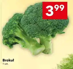 Lewiatan Brokuł LEWIATAN oferta