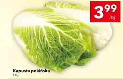 Lewiatan Kapusta pekińska LEWIATAN oferta