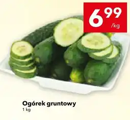 Lewiatan Ogórek gruntowy LEWIATAN oferta