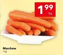 Lewiatan Marchew LEWIATAN oferta