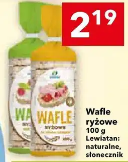 Lewiatan Wafle ryżowe naturalne/słonecznik Lewiatan oferta