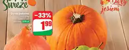 Dino Dynia jadalna Dino oferta