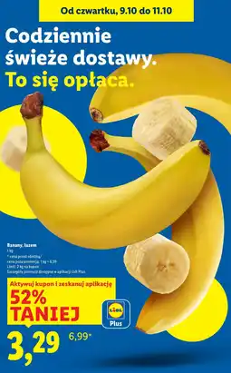Lidl Banany Lidl oferta