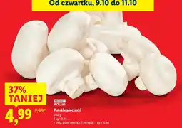 Lidl Pieczarki Lidl oferta