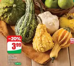 Dino Dynia ozdobna Dino oferta