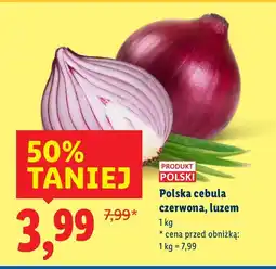 Lidl Cebula czerwona polska Lidl oferta