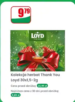 Dino Herbata Kolekcja Thank You Loyd oferta