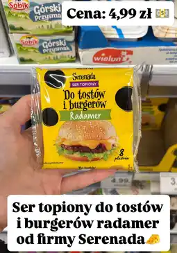 Dino Ser topiony do tostów i burgerów radamer Serenada oferta