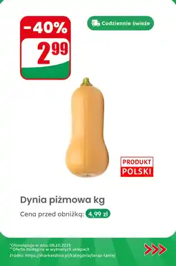 Dino Dynia piżmowa 1 kg Dino oferta