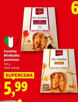 Lidl Minibabka panettone różne rodzaje Favorina oferta