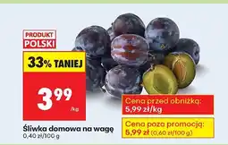 Biedronka Śliwka domowa Biedronka oferta