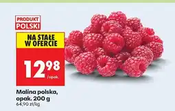 Biedronka Malina polska Biedronka oferta