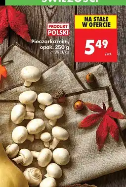Biedronka Pieczarki mini Biedronka oferta