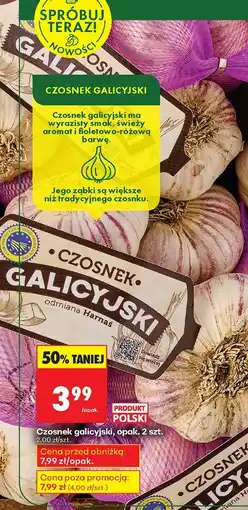 Biedronka Czosnek galicyjski Biedronka oferta