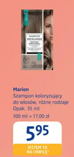 dm drogerie markt Marion Szampon koloryzujący do włosów oferta