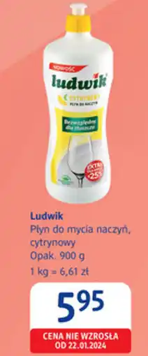 dm drogerie markt Ludwik Płyn do mycia naczyń, cytrynowy oferta