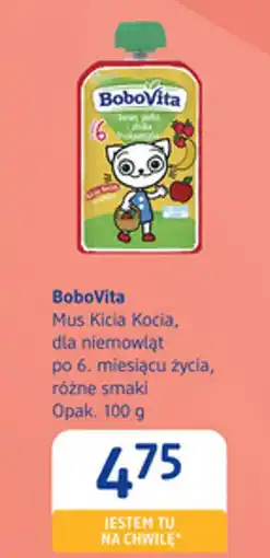 dm drogerie markt Mus Kicia Kocia, dla niemowląt oferta