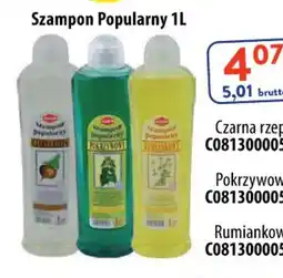 AT Szampon Popularny oferta