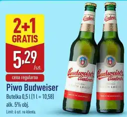 ALDI Piwo Budweiser oferta