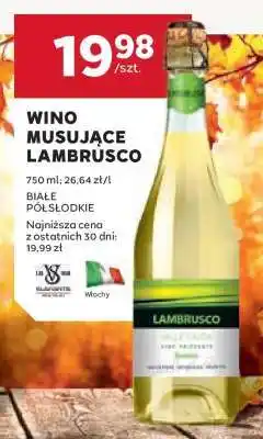 Stokrotka Market Wino Musujące Lambrusco oferta
