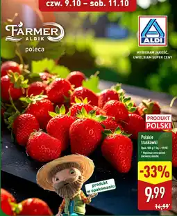 ALDI Truskawki polskie 500 g Aldi oferta
