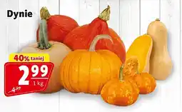 Prim Market Dynia Prim Market oferta