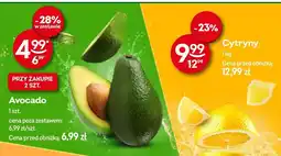 Żabka Cytryny Żabka oferta