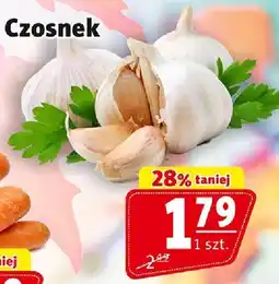 Prim Market Czosnek Prim Market oferta
