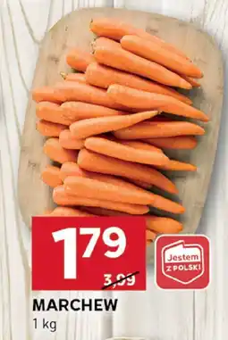 Stokrotka Marchew Stokrotka oferta