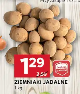 Stokrotka Ziemniaki jadalne Stokrotka oferta