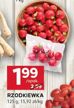 Stokrotka Rzodkiewka Stokrotka oferta