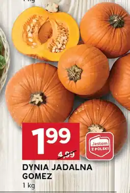 Stokrotka Dynia jadalna Gomez oferta