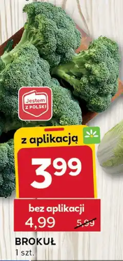 Stokrotka Brokuł Stokrotka oferta