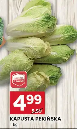 Stokrotka Kapusta pekińska Stokrotka oferta