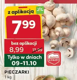 Stokrotka Pieczarki Stokrotka oferta